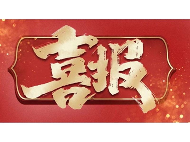 2025年开门红！热烈祝贺斐腾新材料荣获科技十强称号！